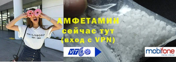 эйфоретик Ельня