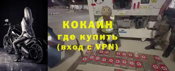 соль ск Алзамай
