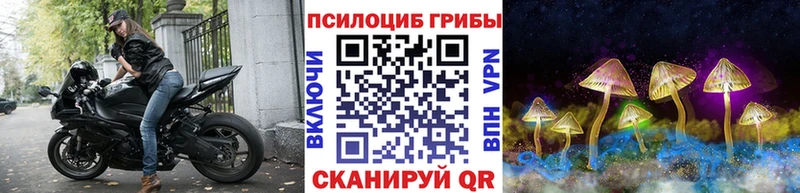 МЕГА ссылка  Тара  Галлюциногенные грибы Psilocybe  хочу наркоту 