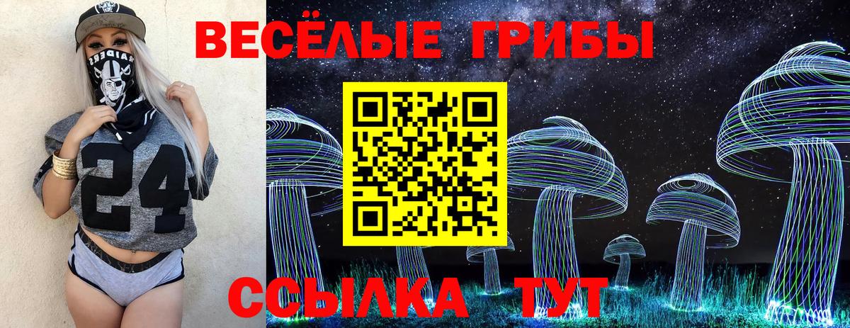 Галлюциногенные грибы прущие грибы Тара