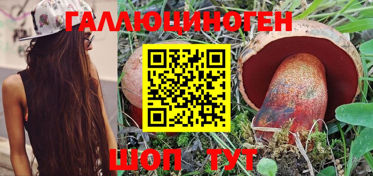Галлюциногенные грибы прущие грибы  Галлюциногенные грибы мухоморы  Вход с VPN  Тара 