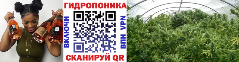 МАРИХУАНА White Widow  где купить наркотик  blacksprut ТОР  Тара 